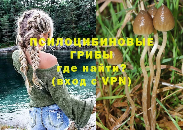 бошки Кстово