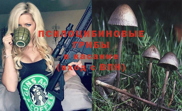 эйфоретик Лихославль