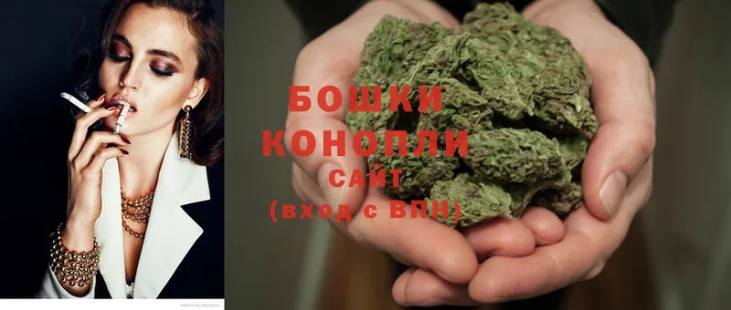 МЕГА ссылки  Новопавловск  Шишки марихуана SATIVA & INDICA 